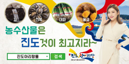 배너