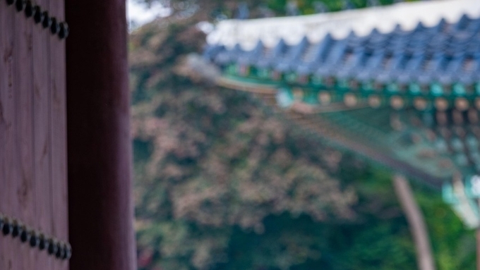 새해 첫 명절인 설날에 대한 단상