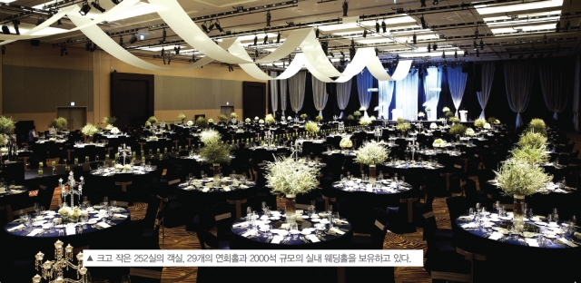 이미지 50.jpg
