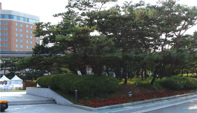 이미지 46.jpg