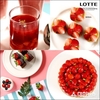 롯데닷컴, 롯데호텔서울 딸기 디저트 뷔페 티켓 온라인몰 단독 선보여