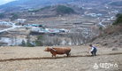 봄 농사를 준비