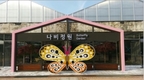 도시에서 보기 힘든 아름다운 나비 세상