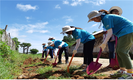 물부족 베트남 오지마을에 맞춤형 급수시설 구축