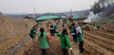 제천시새마을회, 금성면에서 농촌일손돕기 실시