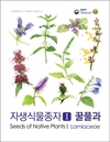 쓰임새 많은 우리 식물, 꿀풀과 69종 씨앗 정보 한눈에