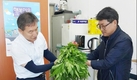 권영대 내면농협 방내지점장, 맞춤형 산나물 누리대 전달