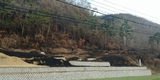 경북도&의성군, 가음면 산불축소보고 의혹의 진위는