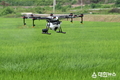 영주시, 드론을 활용한 병충해 방제 나서