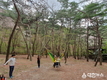충북도, 추석연휴 조령산자연휴양림 인기 만점