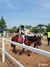 청주시, 전국 유일 상·하반기 연속 ‘도심 승마체험’ 선정