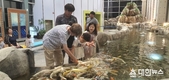 전남해양수산과학원, 12~15일 정상 개관
