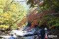 남원시 제42회 지리산 뱀사골 단풍축제