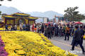 관람객 90만명…영암 월출산 국화축제 ‘대박냈다’