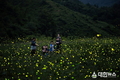 이름 값하는 무주반딧불축제 2019 전라북도 대표축제 선정