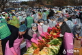 경주시새마을회, ‘사랑의 김장 담가주기’ 행사 개최