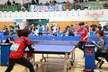 예천군, 핑퐁대회