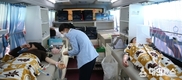 전남교육청 사랑의 헌혈 운동 참여