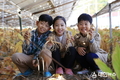 경북 영주시, 2021 세계풍기인삼힐링엑스포 미리보기