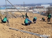 충주시, 생산적 일손봉사 참여자·일할곳 모집