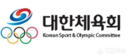 대한체육회, 체육단체 회장선거제도 개선에 나서