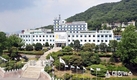 강원도 2019년 사료수출액 284억원 달성, 4년 연속 사료 수출 상승세
