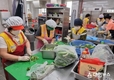 홍천봉사회, 군노인복지관 음식 조리·배식 봉사 전개