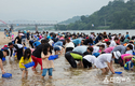 ‘황금 재첩을 찾아라’하동섬진강문화재첩축제 개막