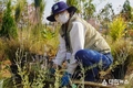 국립세종수목원, 고품질 정원산업 기반 구축 위해 상생협력형 시민 정원작가 발굴·육성 적극 나서