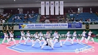 경찰청장기 전국 태권도 선수권대회 영천에서 개최
