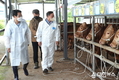 강진원 강진군수, 우시장 방문 한우산업 비전 밝혀