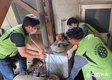 홍천군자원봉사센터, 새홍천로타리클럽과 보일러교체 재능봉사 실시