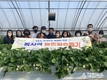 청주시, 농촌 일손 돕기 구슬땀...복지국, 상당구 남일면 가산리 딸기재배농가 잡초제거 등 일손 도와