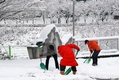 태백 폭설, 공무원·시민 함께 제설작업 ‘총력’