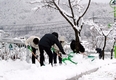 태백 폭설, 공무원·시민 함께 제설작업 ‘총력’