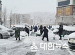 동해시,‘제설작업 빛 났다’폭설 선제적 대응...제설장비 총 85대(시청 52대, 동 33대), 제설재 75톤 투입