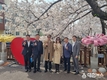 주한국 대만 총영사, 창원특례시 진해군항제 벚꽃 만끽