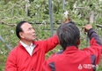 박덕흠 의원, 정부·지자체·농협 등과 함께 냉해 피해 입은 과수농가 방문하고 대책 마련 촉구!