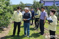 박남서 영주시장, 우박피해 현장 방문