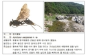 맑은 물에 잠수해 다른 곤충에 알 낳는 물벌 신종 발견