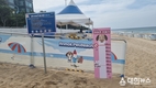강릉시, 반려견과 함께하는 안목해변 펫비치 호평 속 운영종료