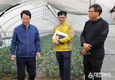 강진으로 귀향, 쌈채소 성공신화 이룬 청년농 화제