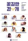 농림축산검역본부 검역탐지견 11마리의 새로운 가족을 찾습니다