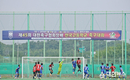 함안군, 제45회 대한축구협회장배 전국고등학교 축구대회 성료