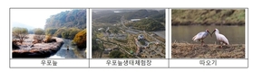 환경부, 창녕 ‘우포늪’, 12월 생태관광지로 선정