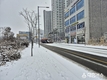 춘천시, 대설주의보 발령에 따른 비상대응 체제 가동