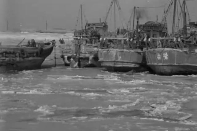 1963년 2월3일 얼어붙은 인천항