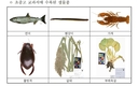 국립낙동강생물자원관, 담수생물 680종 고해상도 이미지 2,110점 공개