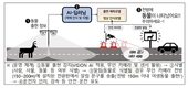 환경부, 동물 찻길 사고, 영상인식 인공지능 기술로 막아요