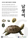 환경부, 6월의 멸종위기 야생생물로 ‘남생이’ 선정
